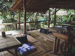 Re - Wild House