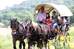 Agriturismo La pulledraia