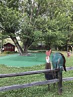 Grey Wolf Lodge