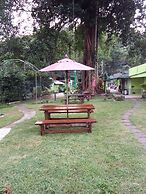The Grand Tree Resort