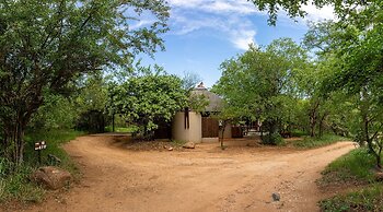 Raptors Lodge