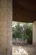 Alila Mayakoba