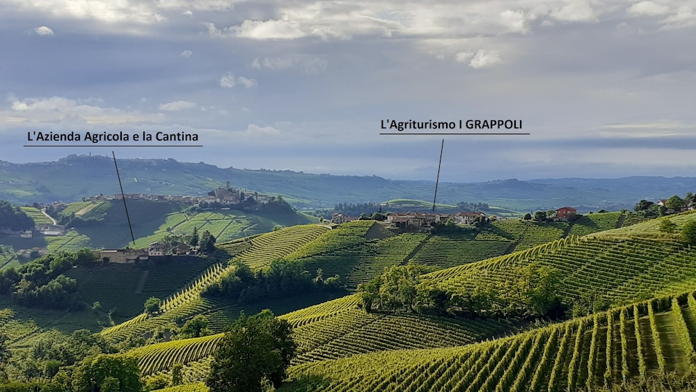Agriturismo i Grappoli