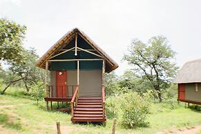 Lion Roars Lodge