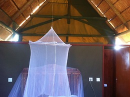 Lion Roars Lodge