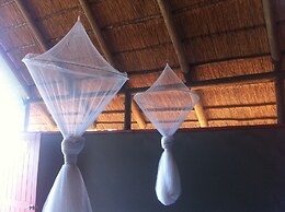 Lion Roars Lodge