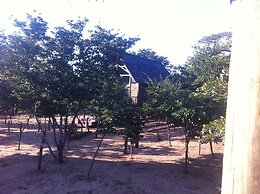 Lion Roars Lodge