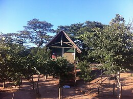 Lion Roars Lodge
