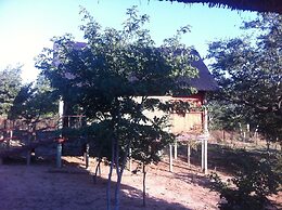 Lion Roars Lodge