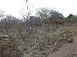 Lion Roars Lodge