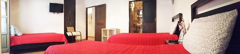 Cortizo Suites