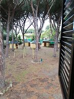 Hotel Paradiso