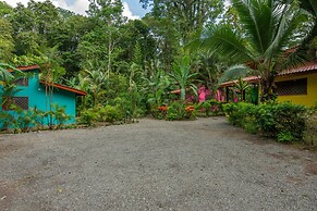 Colores del Caribe