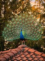 Hotel Bellevue - Nature & Resort