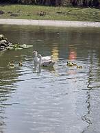 Hotel Bellevue - Nature & Resort