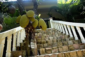 Tropical Hill Kep