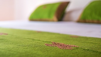 HOTEL POCNA