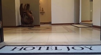Hotel Joy