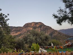 Shiva Camp