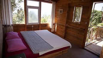Shiva Camp