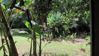 Waterfall Hostel