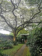 St Lucia Wilds