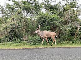 St Lucia Wilds