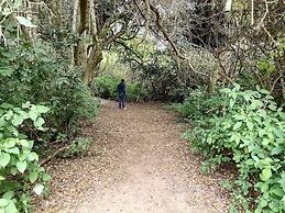 St Lucia Wilds