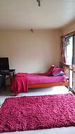 Pohutukawa Coast Bed & Breakfast