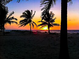 Pura Vida Lodge
