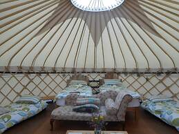 Ceridwen Glamping, Double decker Bus and Yurts
