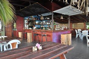 Tropical Gecko Studio