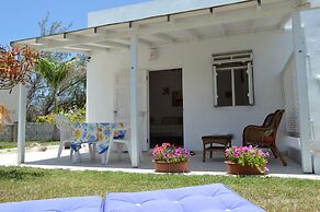 Tropical Gecko Studio