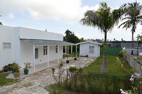 Tropical Gecko Studio