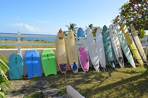 Tropical Gecko Studio