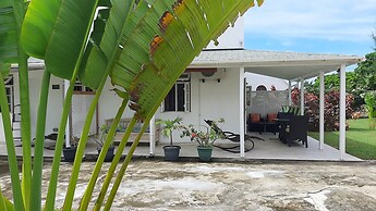 Tropical Gecko Studio