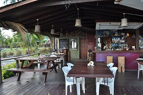 Tropical Gecko Studio
