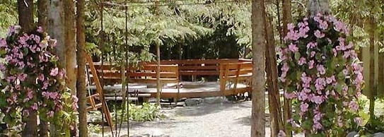 Castle Mountain Ski Lodge - Hostel