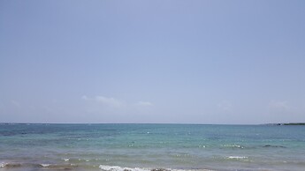 Ocho Rios Villa at Coolshade