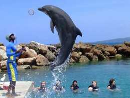 Ocho Rios Villa at Coolshade