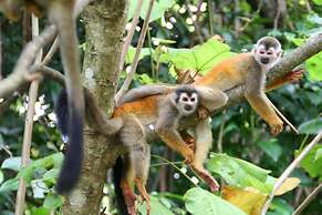 Hotel Manuel Antonio Park