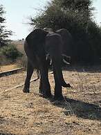 Travelodge Kasane