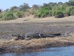 Travelodge Kasane