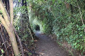 Waitomo Caves Guest Lodge