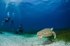 Akumal Natura