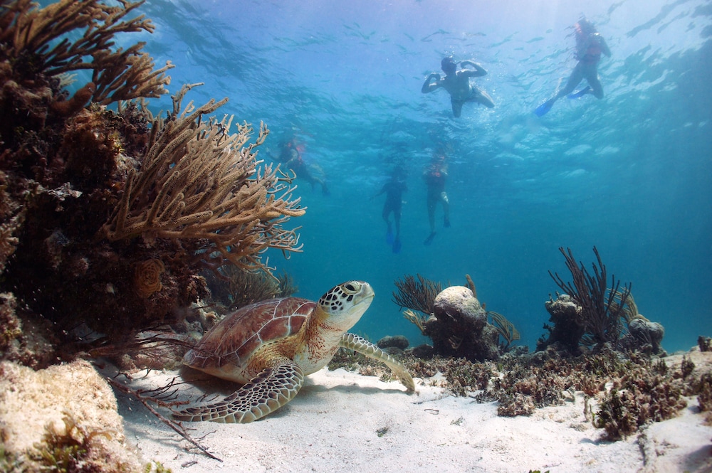 Akumal Natura