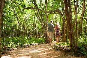 Akumal Natura