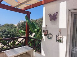 Ibak Sunny Houses
