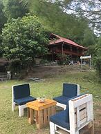 Cat Ba Eco Lodge