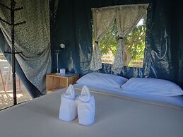 The Camping Field